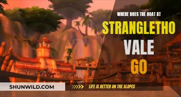 Exploring Stranglethorn Vale: The Boat's Destination and Mystery