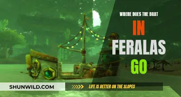 Exploring Feralas: The Boat's Destination and Mystery