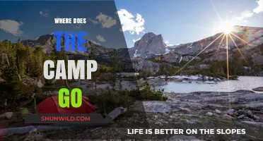 Exploring the Great Outdoors: Where Does Camp Go?