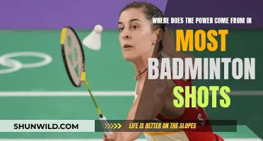 Badminton Power Shots: Secrets of the Wrist and Arm