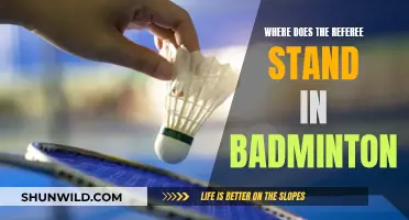 Badminton Referee Positioning: Where Should They Stand?