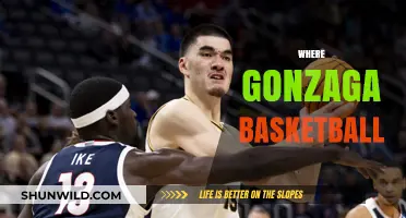 Gonzaga Basketball: A Legacy of Success and Championships