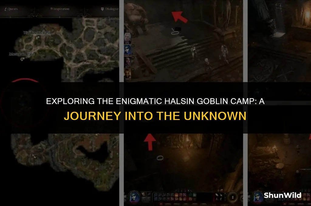 where halsin goblin camp