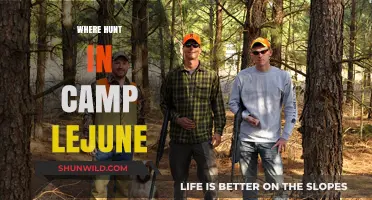 Exploring the Best Hunting Spots in Camp Lejeune