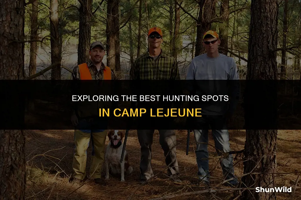 where hunt in camp lejune