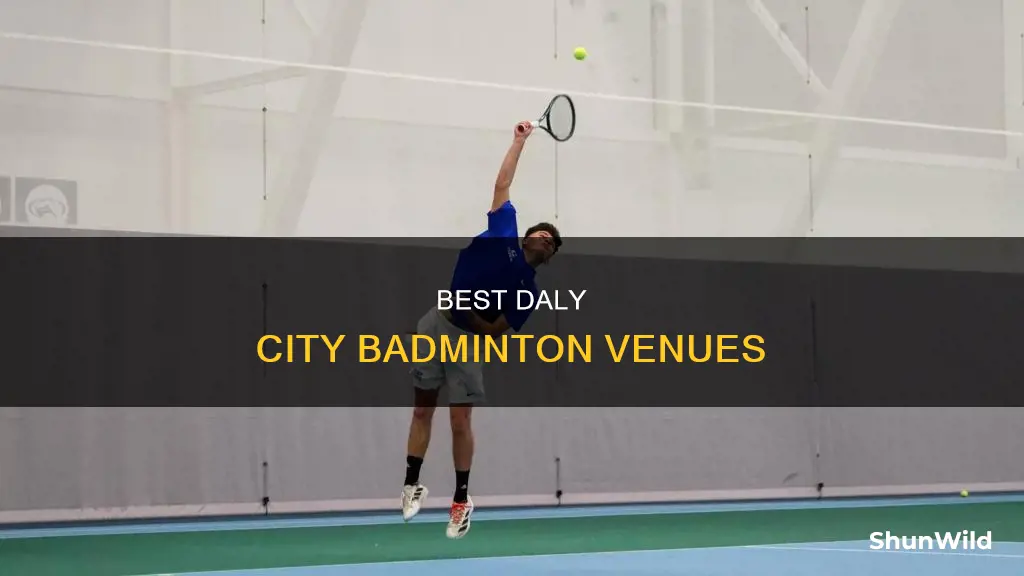 where i can play badminton in daly city