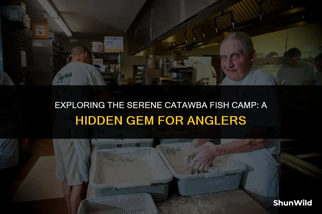 where ic catawba fish camp