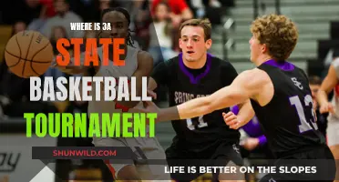 State Basketball Tournament: 3A's Battle for Glory