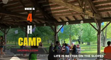 Exploring the Great Outdoors: A Guide to 4-H Camp Locations