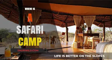 Exploring the Wild: A Guide to Safari Camps in Africa
