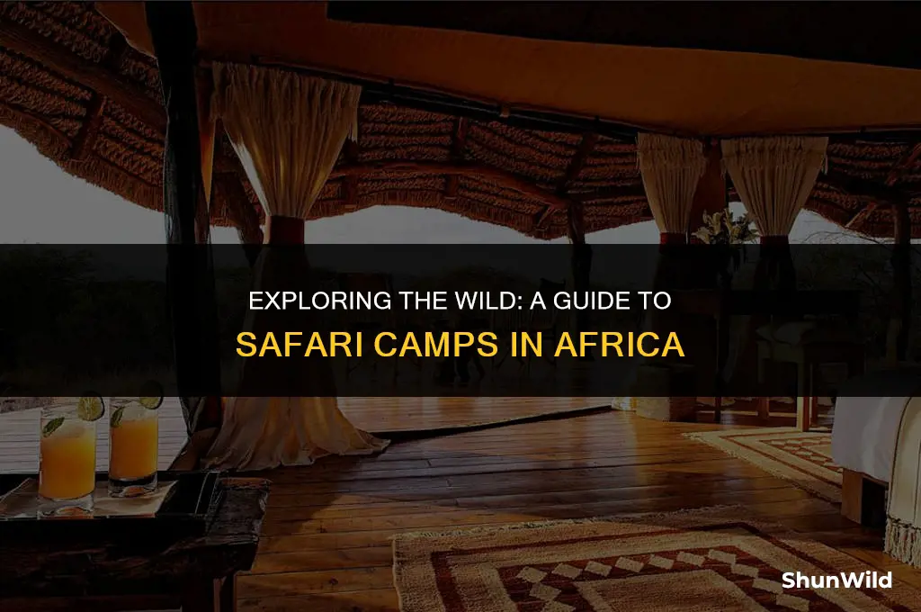 where is a safari camp
