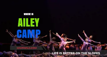 Exploring the Enchanting World of Ailey Camp: Where Dance Meets Nature