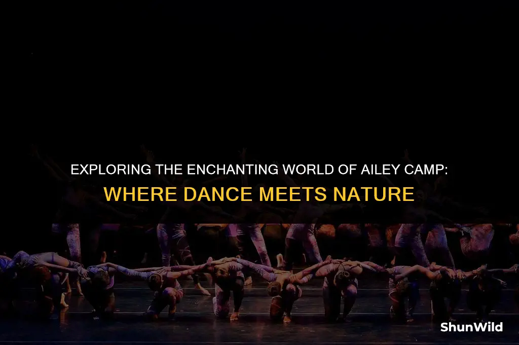 where is ailey camp