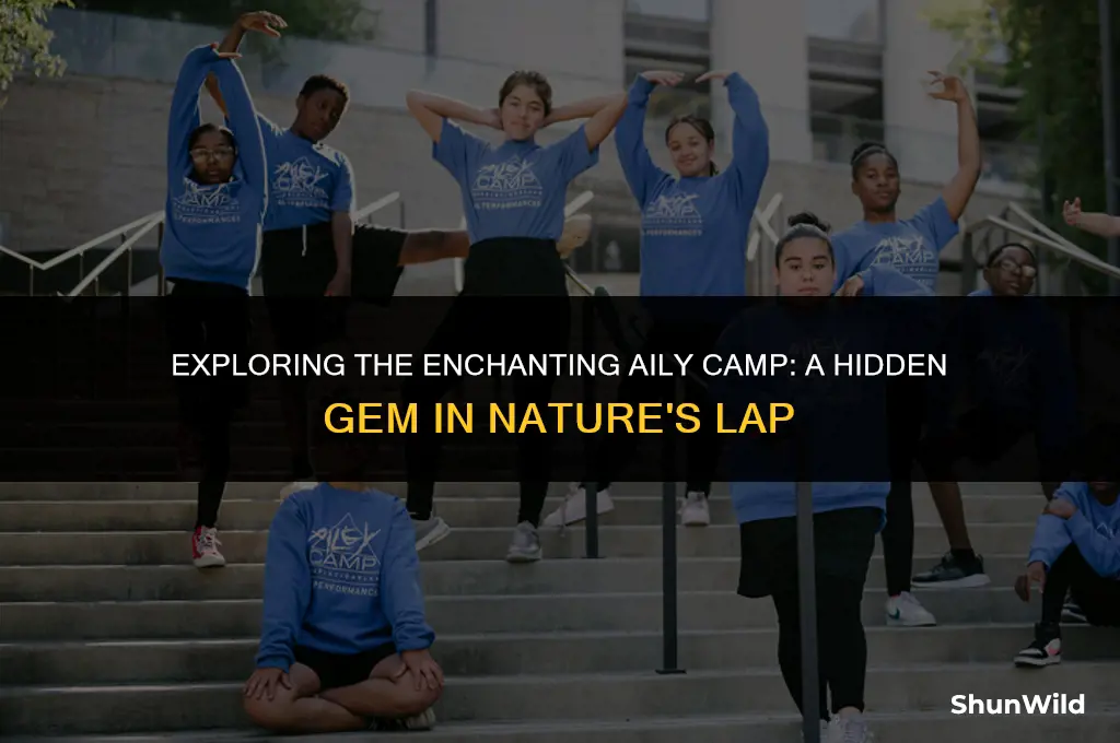 where is aily camp