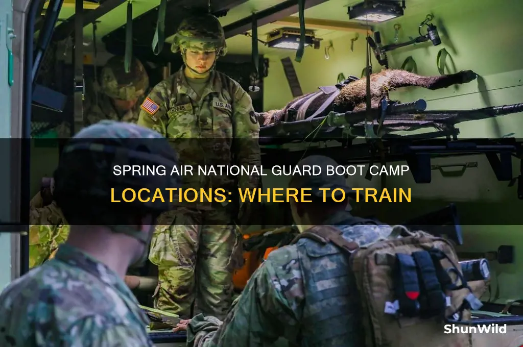where is air national guard boot camp in spring