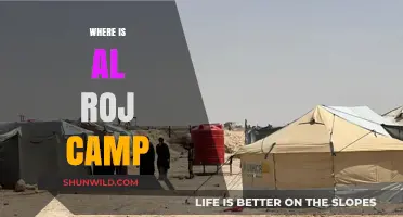 Exploring the Enigmatic Al Roj Camp: A Journey into the Unknown