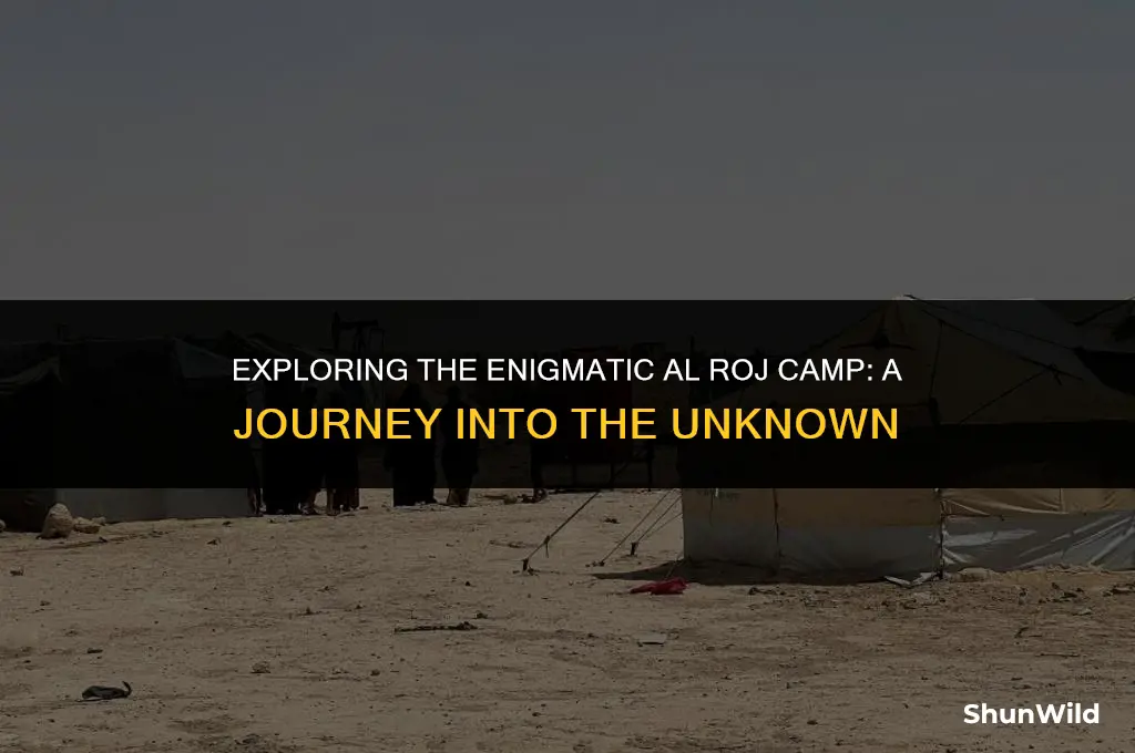 where is al roj camp