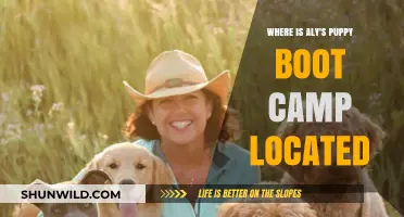 Discover Aly's Puppy Boot Camp Location: Your Ultimate Guide