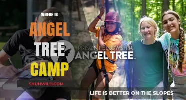 Discovering the Hidden Gem: Angel Tree Camp's Serene Location