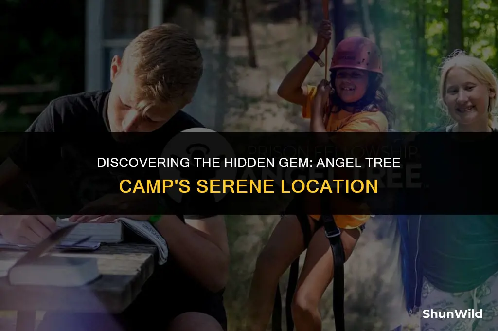 where is angel tree camp