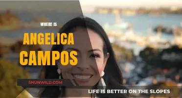Unraveling the Mystery: Where is Angelica Campos?