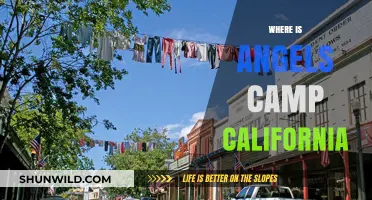 Discovering Angels Camp: A Hidden Gem in California's Gold Country