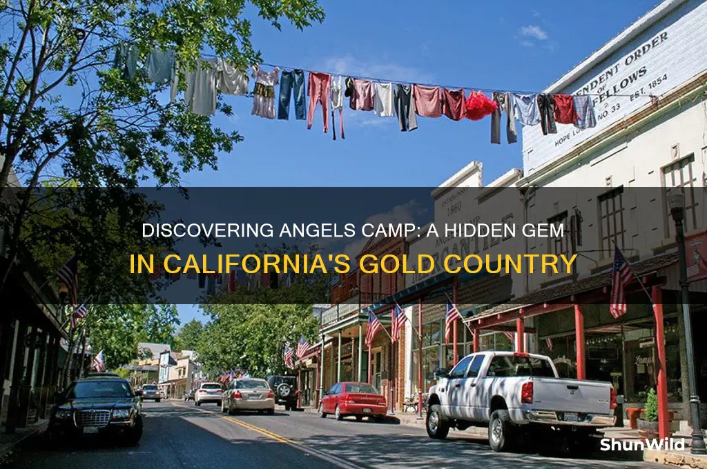 where is angels camp california