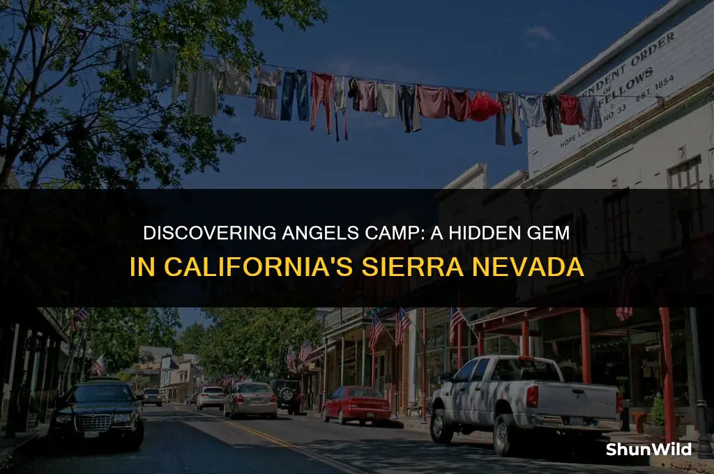 where is angels camp located