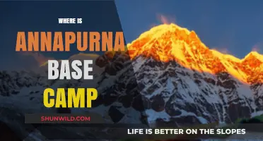 Trekking to the Heart of the Himalayas: Annapurna Base Camp Adventure