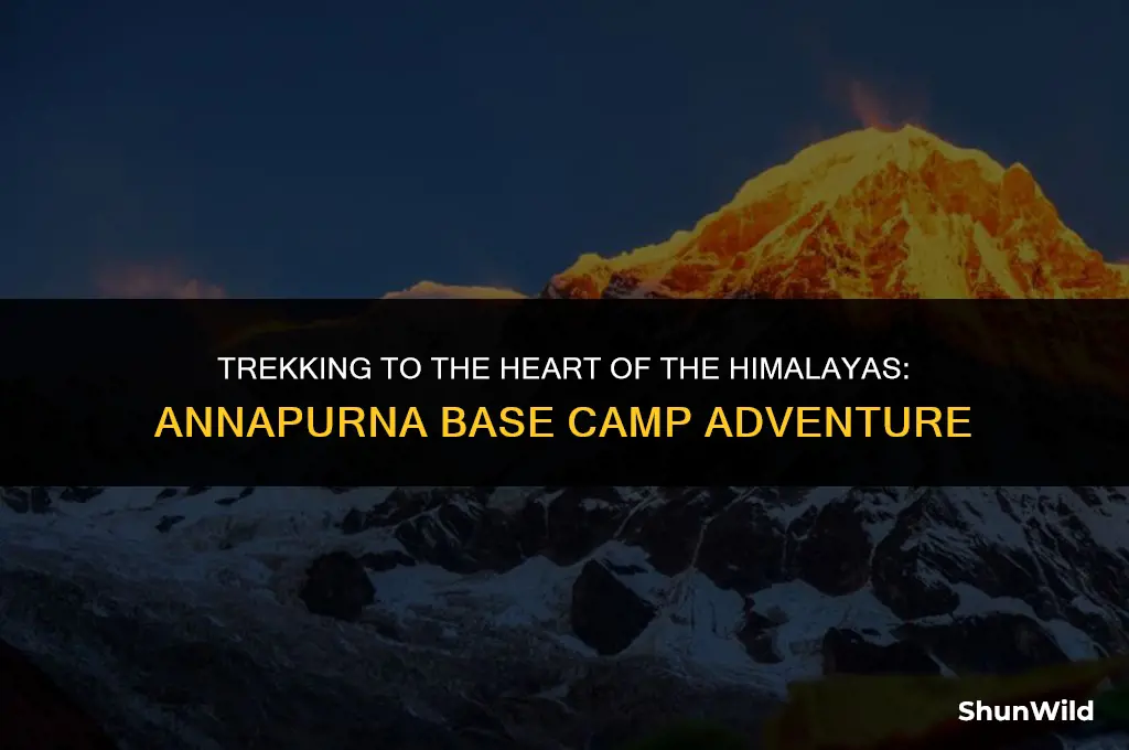 where is annapurna base camp