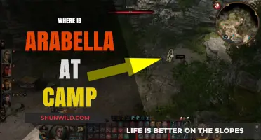 Arabella's Adventures: Unveiling the Mystery of Her Camp Location
