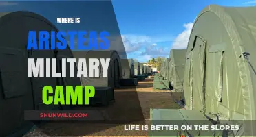 Unveiling the Mystery: Where is Aristeas' Military Camp?