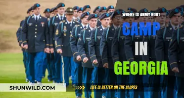 Discover Georgia's Army Boot Camp Location: A Comprehensive Guide