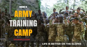 Discover the Ultimate Army Training Camp Experience