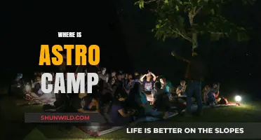 Exploring the Cosmos: A Journey to Astro Camp