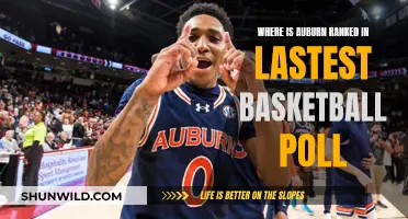 Auburn's Rise: Latest Basketball Poll Results