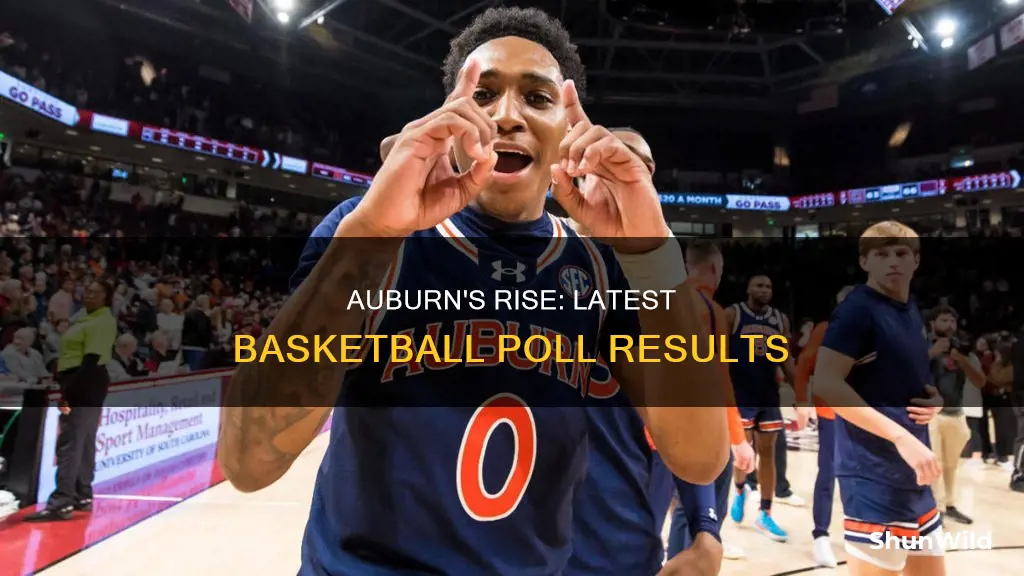 where is auburn ranked in lastest basketball poll