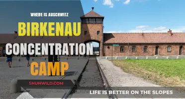 Auschwitz-Birkenau: Locating the Infamous Nazi Concentration Camp Site