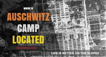 Unveiling the Haunting Legacy: Auschwitz Camp's Geographic Footprint