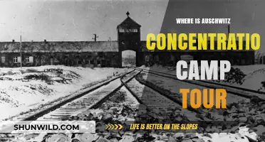 Auschwitz Concentration Camp Tour: Location, History, and Visiting Guide