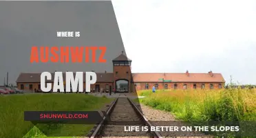 Unveiling the Haunting Legacy of Auschwitz: A Journey Through History