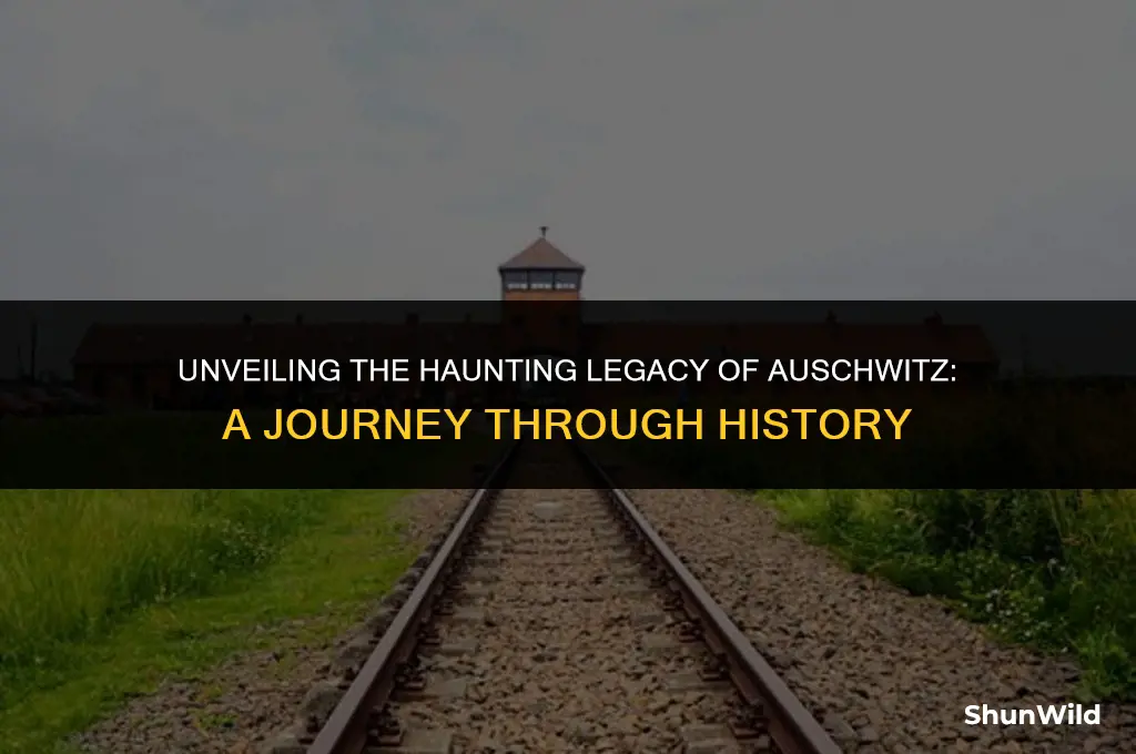 where is aushwitz camp