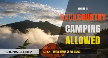 Exploring the Great Outdoors: A Guide to Backcountry Camping Locations