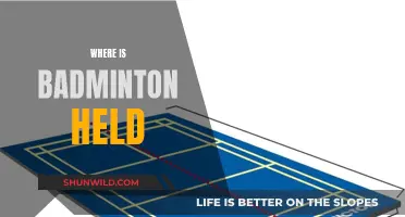 Badminton Venues: Where the Sport is Played