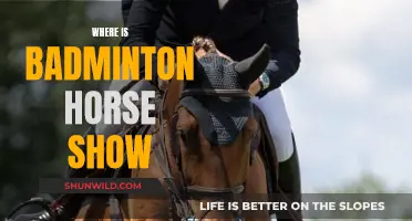 Badminton Horse Show: A Guide to the Gloucestershire Event