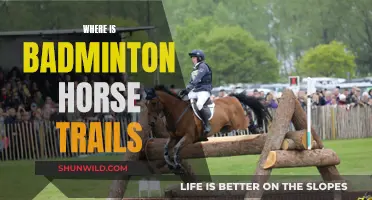 Badminton Horse Trials: A Prestigious Event in the UK