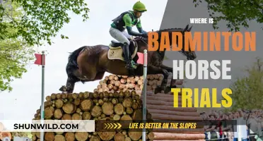 Badminton Horse Trials: A Prestigious Event in the UK
