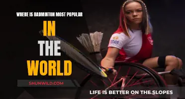 Badminton's Global Hotspots: Where is it Most Popular?