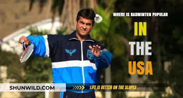 Badminton's Popularity in the USA: Where is it Played?
