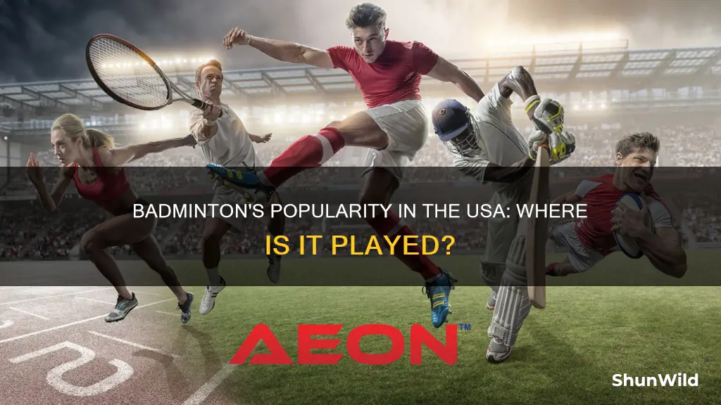 where is badminton popular in the usa